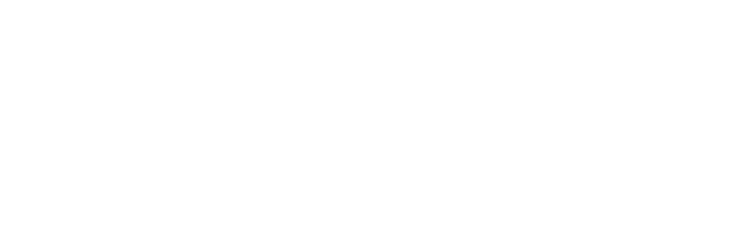 Neagu Dinu Partners